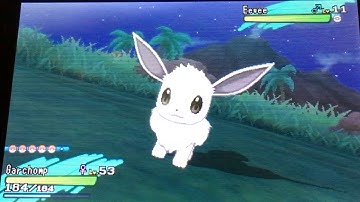 A random encounter shiny eevee