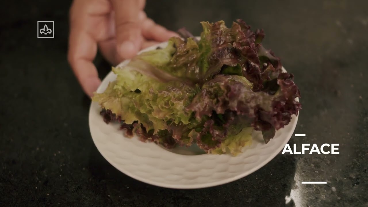 Receita Wrap de Salmão Defumado