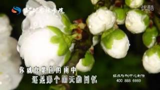 Video thumbnail of "汪峰 - 雨天的回忆.flv"