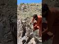 Stone Extraction 😱 #stoneminer #viral #trending