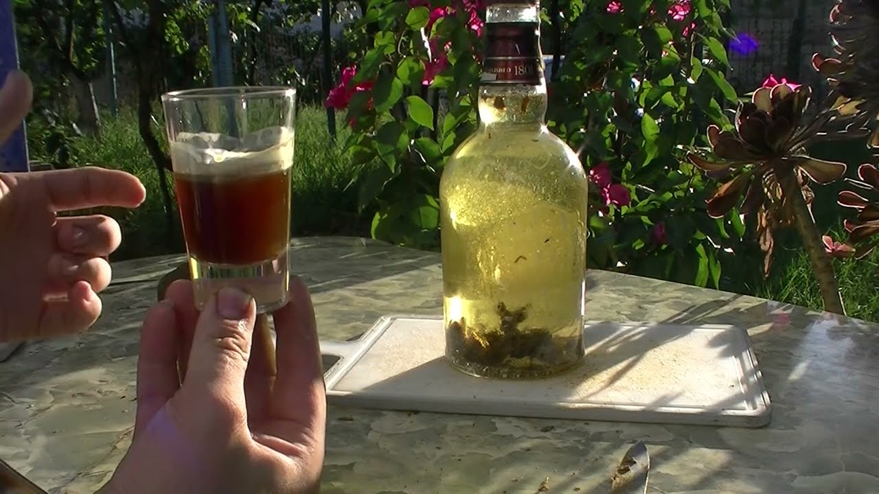 Si te pergatisim propolisin e bletes dhe vlerat e tij/ Bee Propolis, preparations and benefits #bee