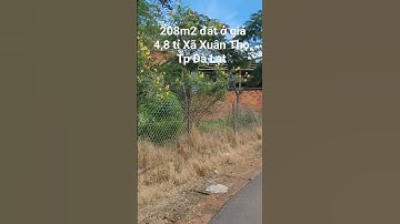 208m2 đất ở giá 4,8 tỉ Xã Xuân Thọ, Đà Lạt p01. 0962004900 #shorts