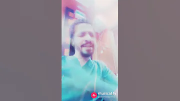 أمير عبد المنعم 