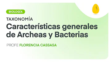 Como as Arqueas se alimentam?
