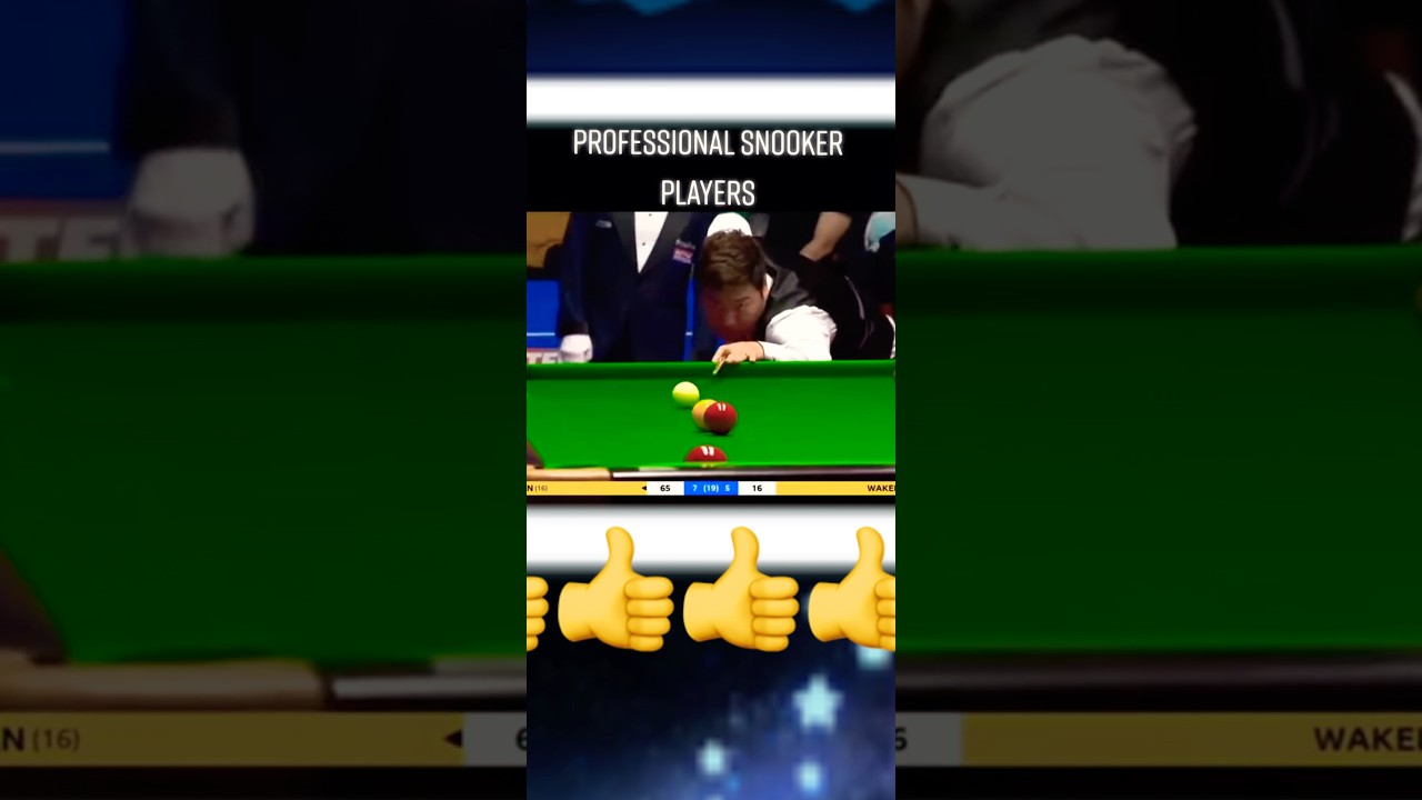 Professional  Snooker player 🥳Respect 