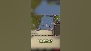 Botting Basics: Level One Training Guide!