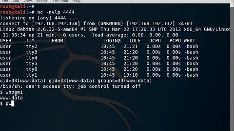 Local File Inclusion (LFI) | Part 3 | Tech Master