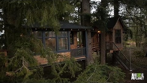 Time Lapse: Bionic Treehouse | Treehouse Masters