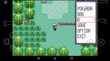 Pokemon Ruby myboy cheat codes with all legendary pokemons