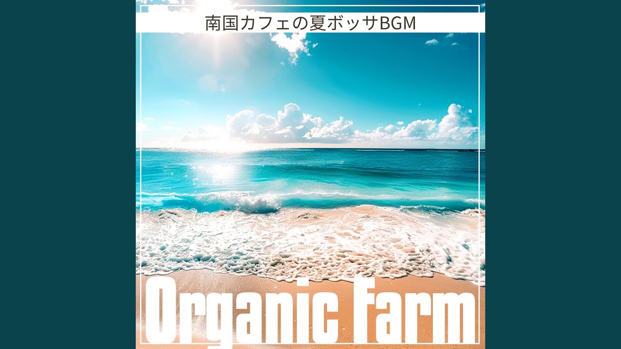 Coastal Afternoon Harmony