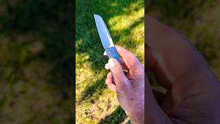 Spectacular Sheepsfoot! #youtubeshorts #shorts