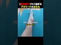 ㊗️1000万再生!!【筋肉祭り!】ヤバ過ぎるアスリートの太もも #ほっこりショート