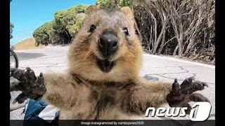 고민상담 (mbti, 인생, 연애, whatever)