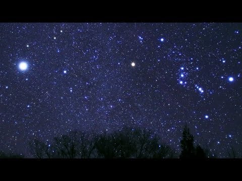 題名　オリオン座 オリオン座25番星 - Wikipedia