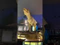 リアルな恐竜!!️本物!?迫力満点の恐竜に大興奮!!️✨ 【柴犬コロと猫のあんこ】恐竜がいっぱいの博物館を満喫✨リアルジュラシックパーク!dinosaurs