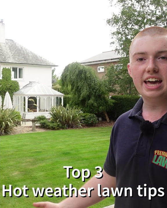 Top 3 Hot weather lawn tips #shorts