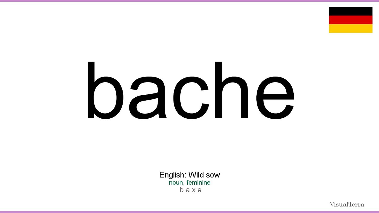 How to pronounce: Bache (German) - YouTube