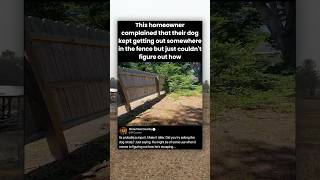 This homeowner complained that their dog kept getting out somewhere in the fence but just couldn't