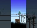 Terraria Shorts Day 68