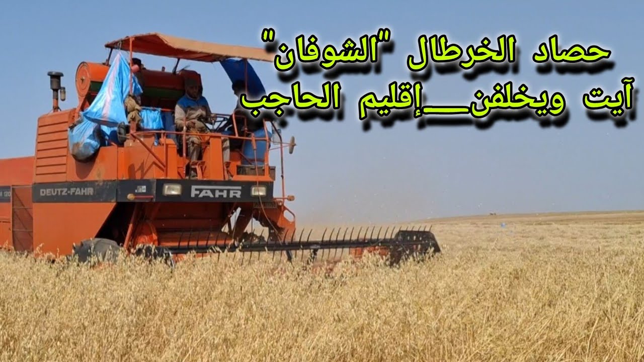 حصاد حبوب الخرطال 