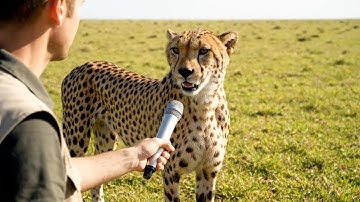 AI Made Animals Talk and It