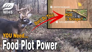 PURE Food Plot Strategy is BEST