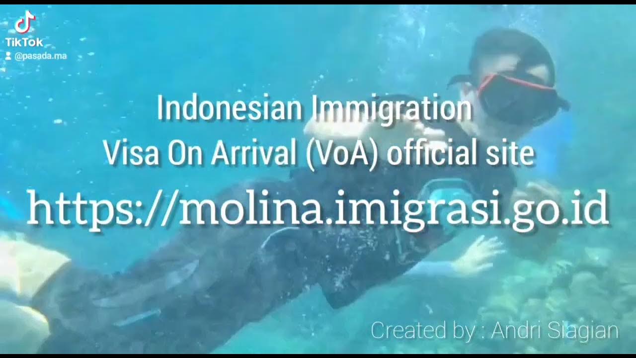 Indonesia Immigration Visa On Arrival (VoA) Official Site https//molina.imigrasi.go.id/ YouTube
