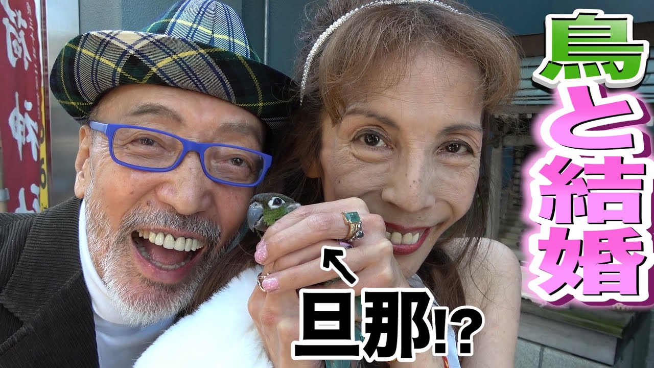 期間限定お値下げ！早い者勝ち！　キスだけじゃイヤ　全１２巻　林葉直子 テリーも驚愕…!?林葉直子がウロコインコと東京のど真ん中で結婚式