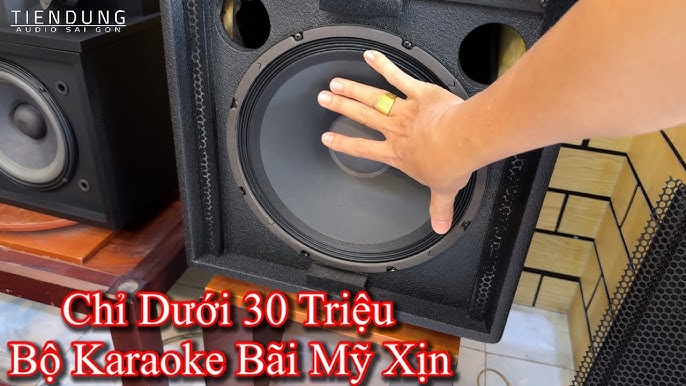 Chỉ dưới 30TR bộ karaoke hàng bãi Mỹ xịn, bass 30cm Max 700W X 2 ...