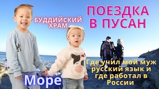 Едем в Пусан/ Вопросы мужу/ Море/ Korea vlog