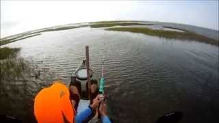 Gangs Bayou June 2014