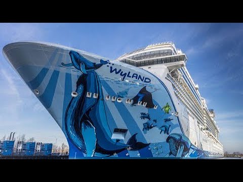 Norwegain Bliss