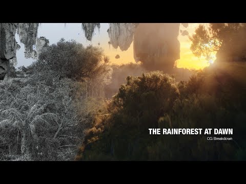 The Rainforest at Dawn | CG Breakdown