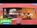 Onde está Chicky? | CHICKY MOTORISTA | Desenhos Animados Infantil