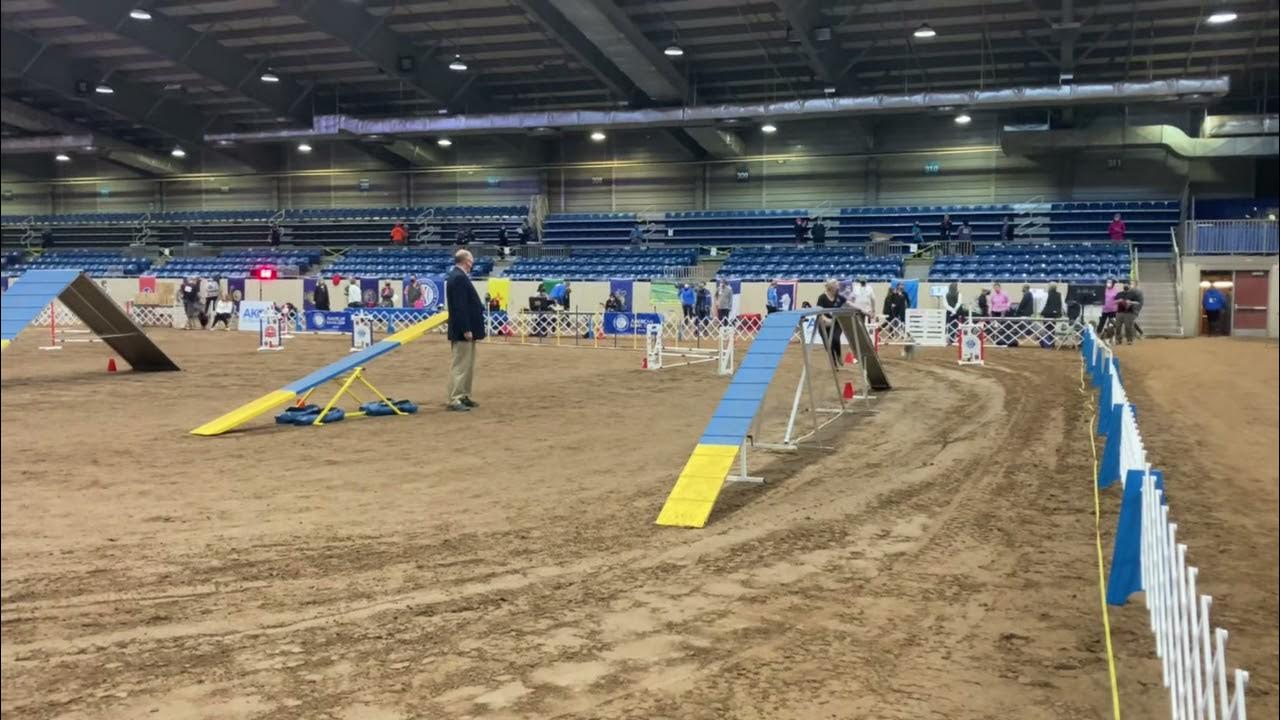 ILO AKC Agility Nationals Standard Run March 27, 2021 YouTube