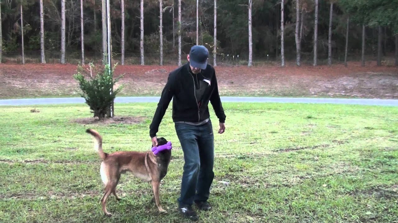 Mojo Jojo Teaser Trailer