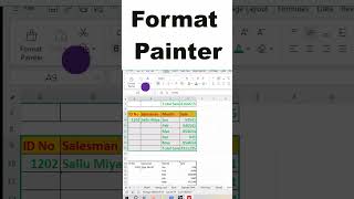 Use Format Painter in Excel #excel #exceltips #Excelshorts #exceltricks #excelfunctions #excelvidoes