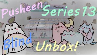 Pusheen Rainbow Series 13 Plush Surprise Blind Unbox!