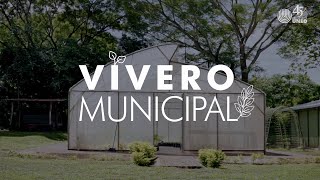Vivero Municipalidad De Orotina