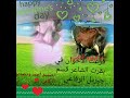 الشاعر سالم الشيخ الجراري الشاعر سالم الشيخ الجراري