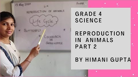 Grade 4| L- 4 Reproduction in Animals Part 2| Explained by Ms Himani Gupta