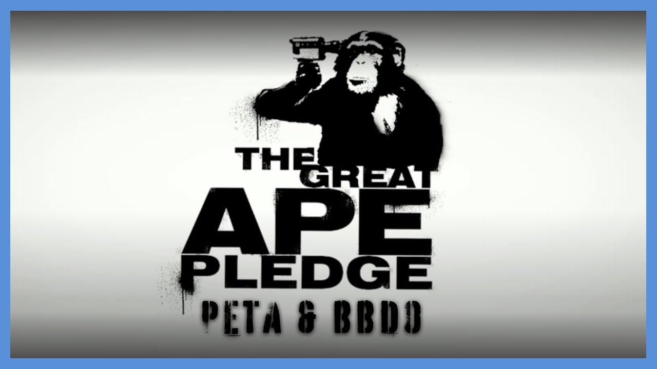 PETA & BBDO Autocorrect Great Apes Out of Ads