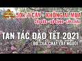 Te Tua Tơi Tả Tan Tác chợ HOA TẾT công viên 23/9 cắt gốc đập HOA bỏ của chạy lấy người về NGHỈ TẾT