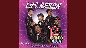 Satisfacción - Satisfaction -