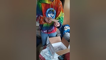 ball python unboxing