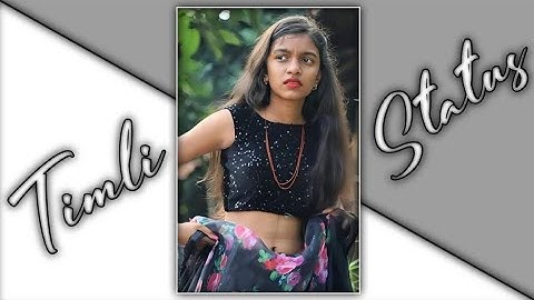 New Jashavant Patel Timli Status 2023_Dj Remix Timli Status_Timli Status_Mp Adivashi Timli Status