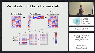 Dimensionality Reduction for Matrix- and Tensor-Coded Data [Part 1]