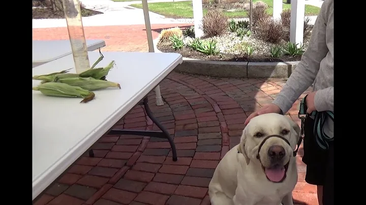 Leo watches Prof. Jaconski demonstrate ethanol