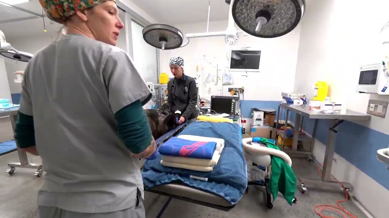 VSOS 24hr Advanced Treatment Centre Walkthrough