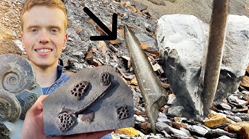 Squid, Crocodile Bones, Large Ammonite! 3 Day Outdoor Hunt! | Fossil Hunter